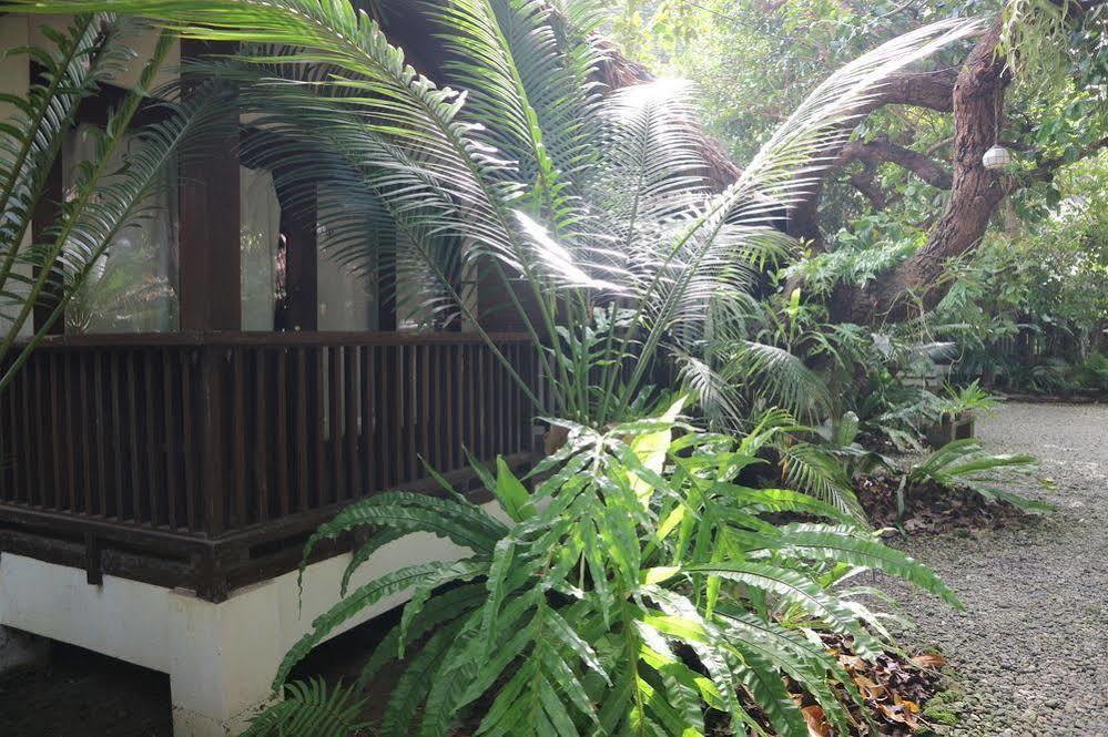 Blue Bayou Bungalows Balabag  Esterno foto